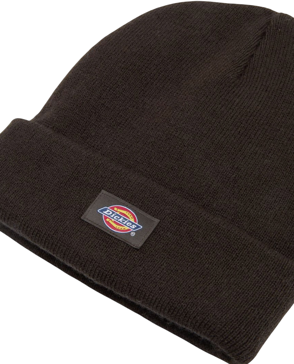 Gorro Dickies Gibsland
