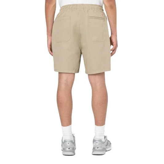 Calção Dickies Pelican Papids