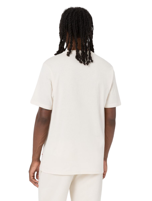 T-Shirt Dickies Mapleton