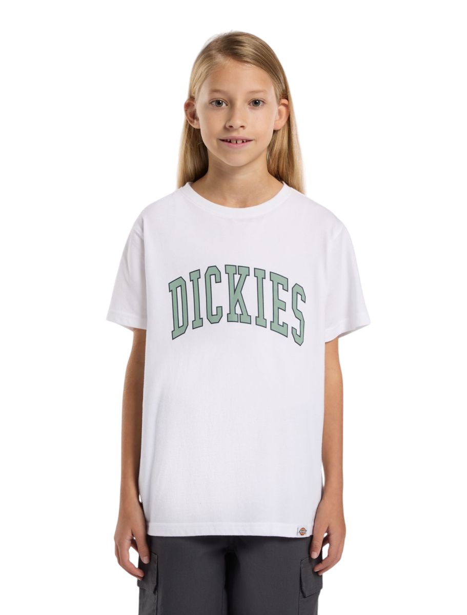 T-Shirt Dickies Aitkin Unissexo