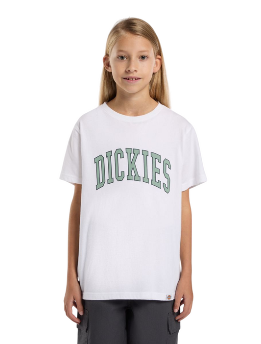 T-Shirt Dickies Aitkin Unissexo