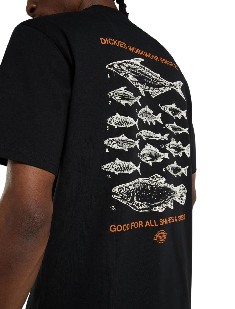 T-Shirt Dickies Laryville Mid Weight