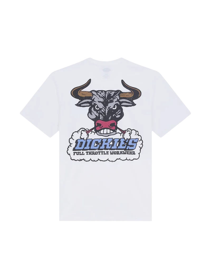 T-shirt Dickies Lakeridge