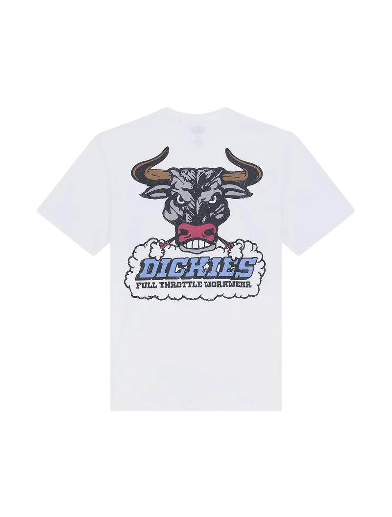 T-shirt Dickies Lakeridge