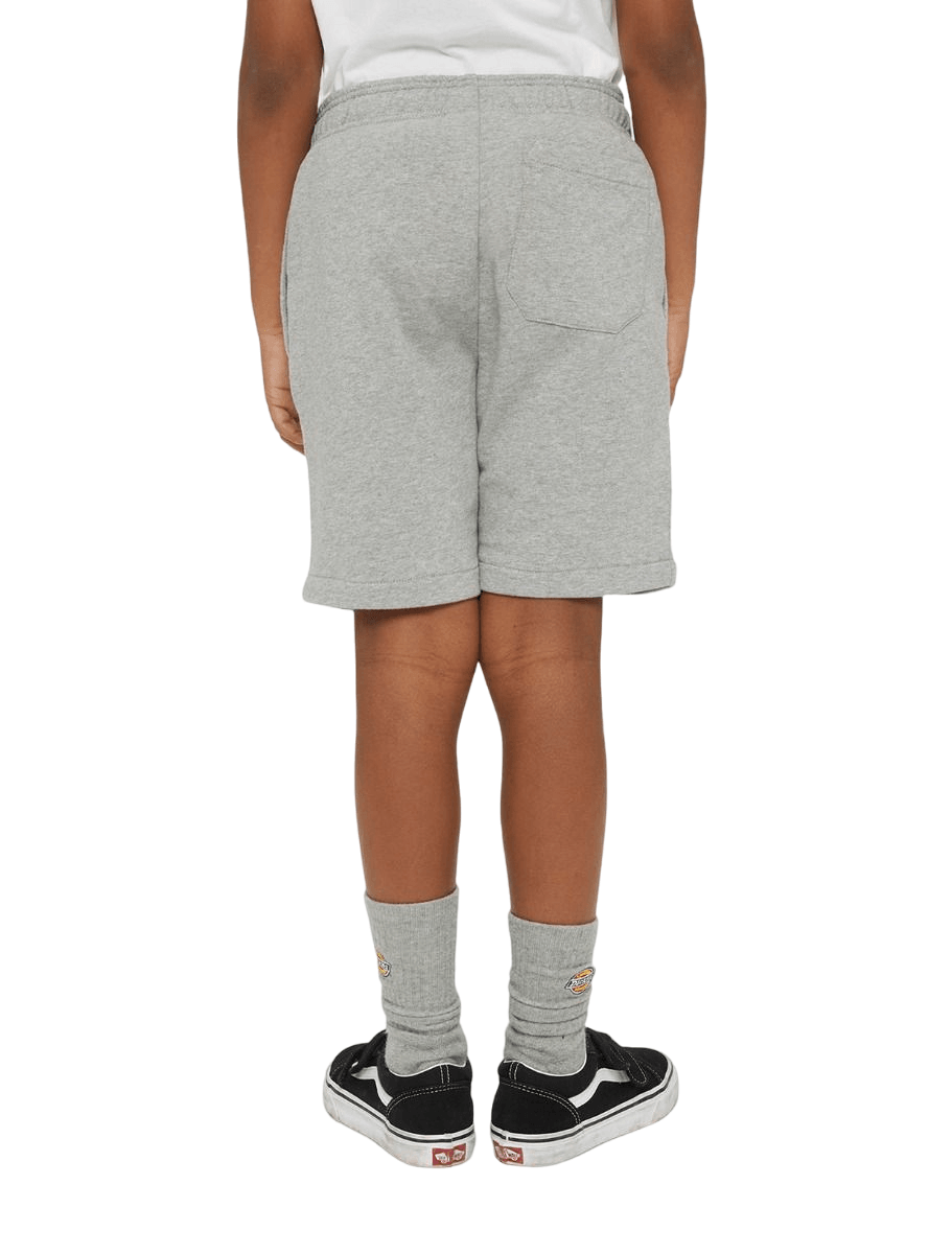Dickies Mapleton Shorts