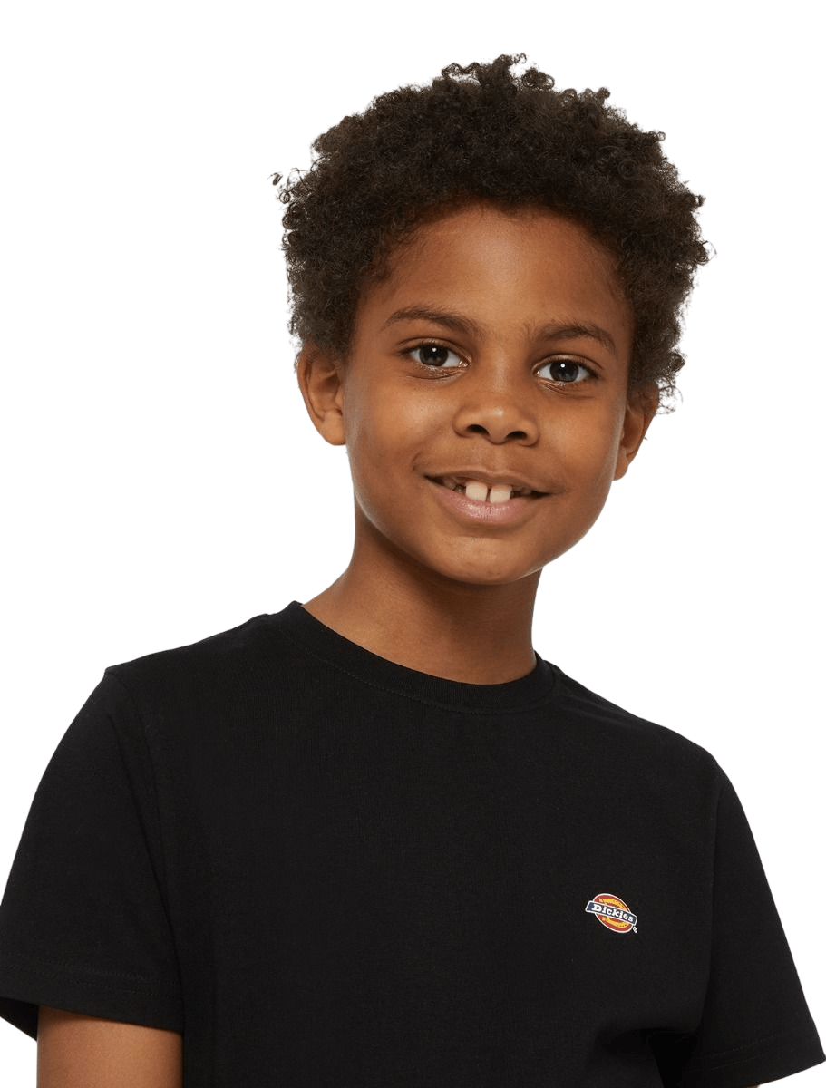 Dickies Mapleton T-Shirt