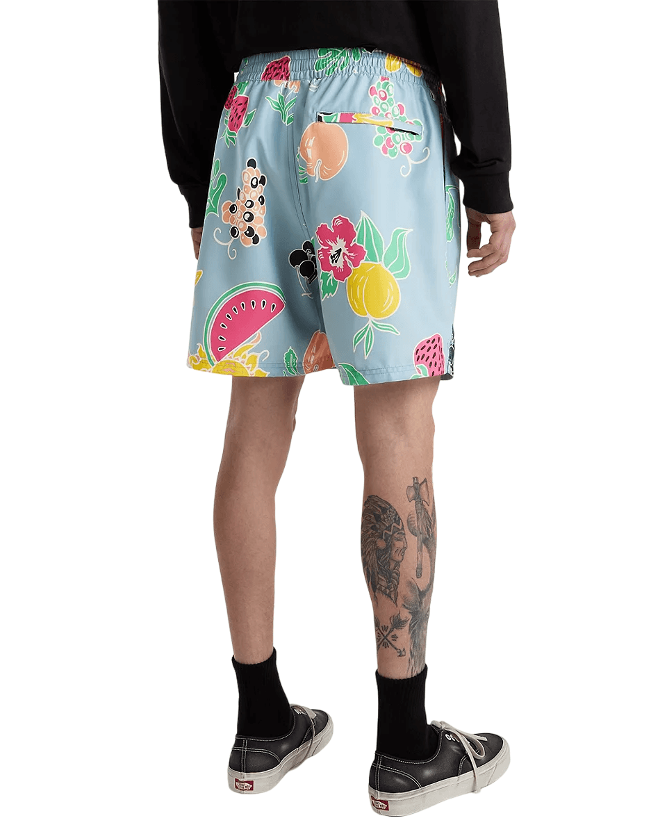 Vans Primary Shorts