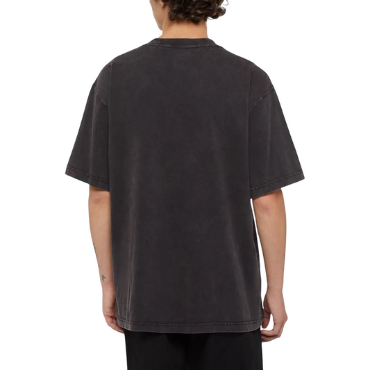 T-Shirt Dickies Plentywood