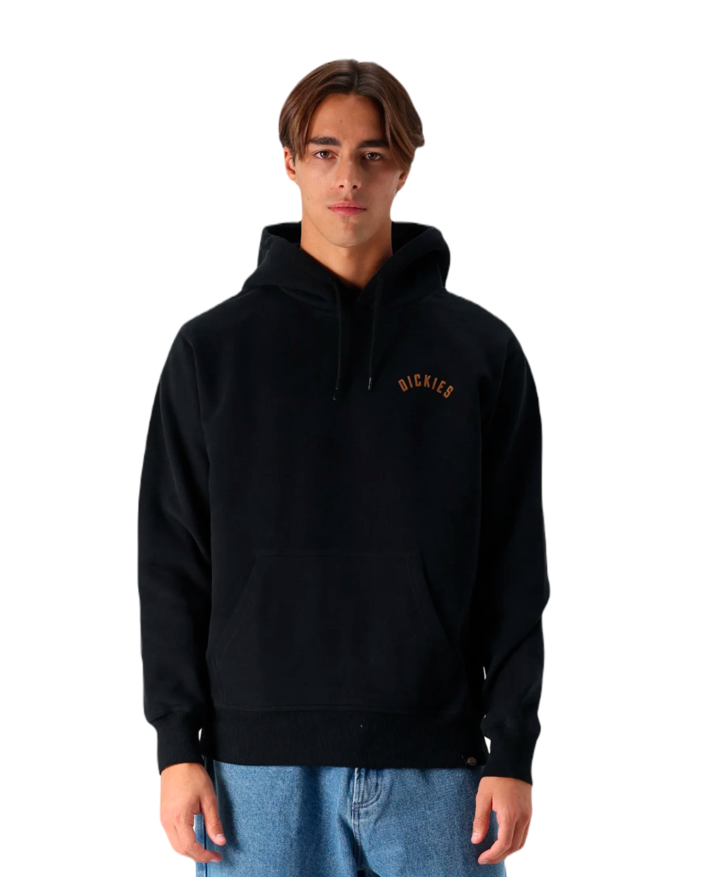 Hoodie Dickies Phanter