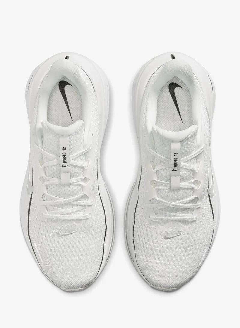 Sapatilha Nike Air Winflo 12