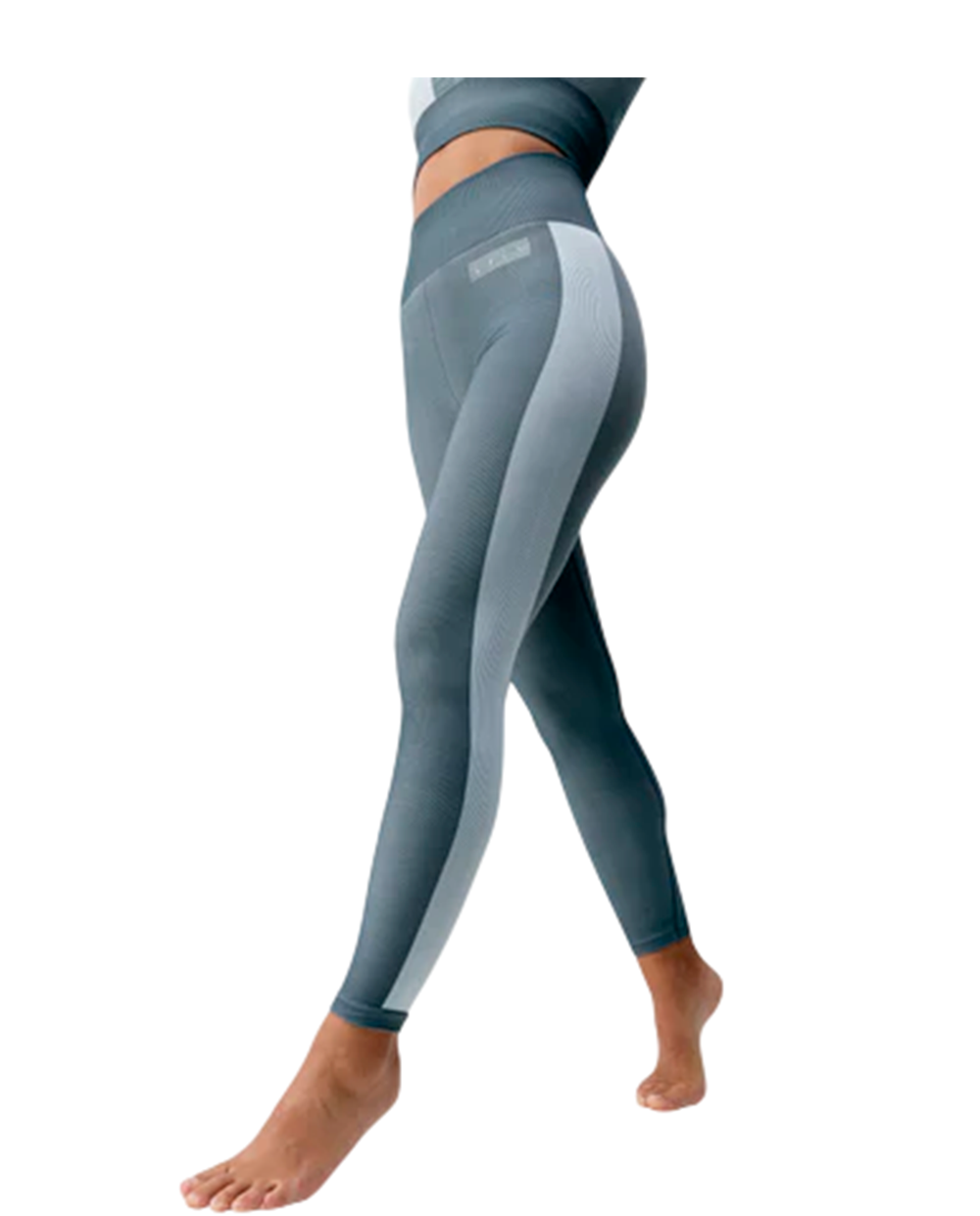 Legging Born Athena