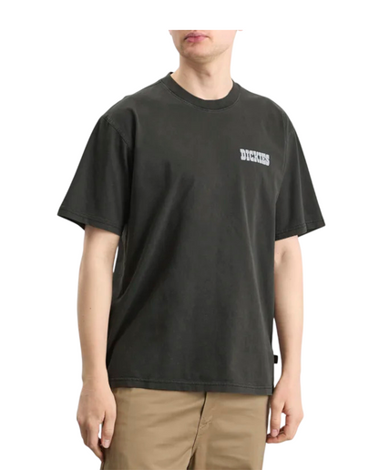 T-shirt Dickies Buchtell