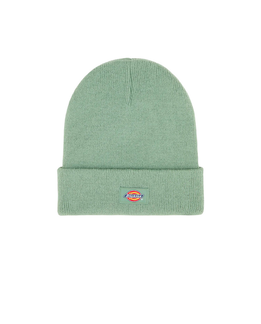 Gorro Dickies Gibsland