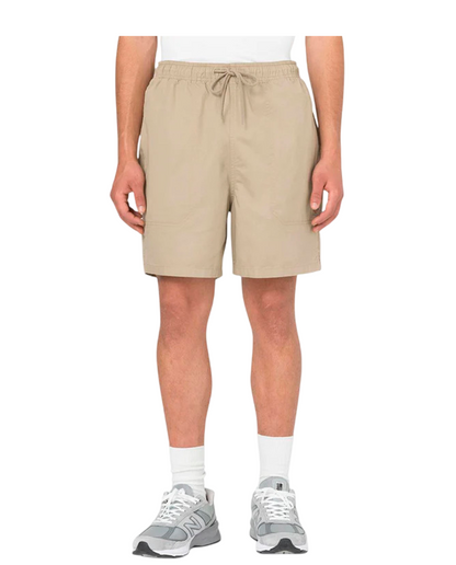 Calção Dickies Pelican Papids