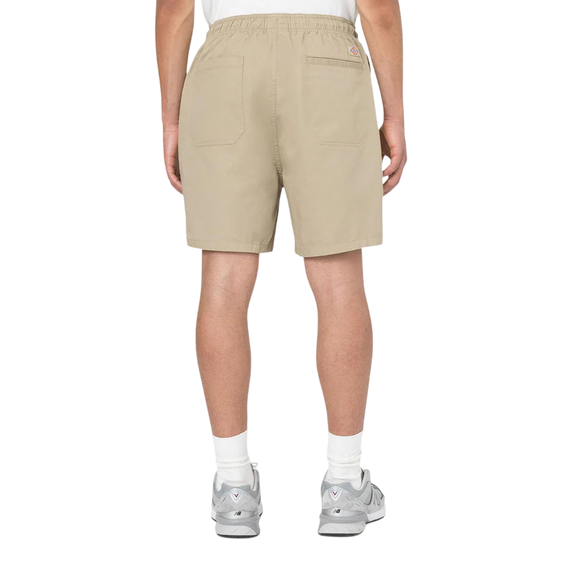 Calção Dickies Pelican Papids