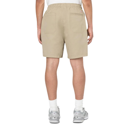 Calção Dickies Pelican Papids