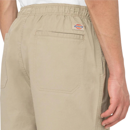 Calção Dickies Pelican Papids