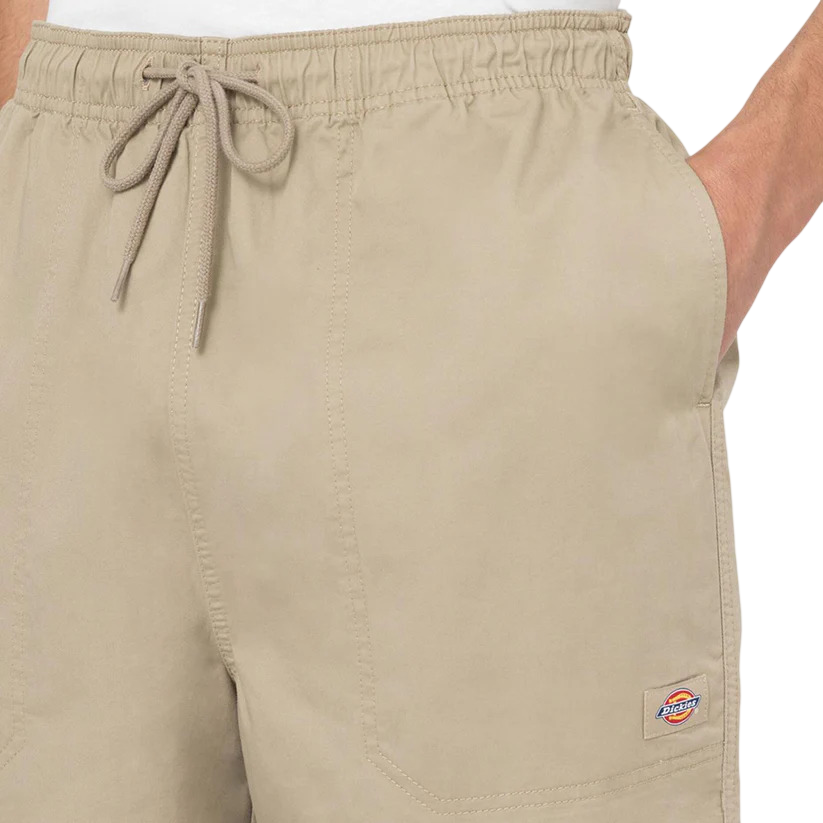 Calção Dickies Pelican Papids