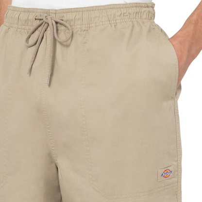 Calção Dickies Pelican Papids