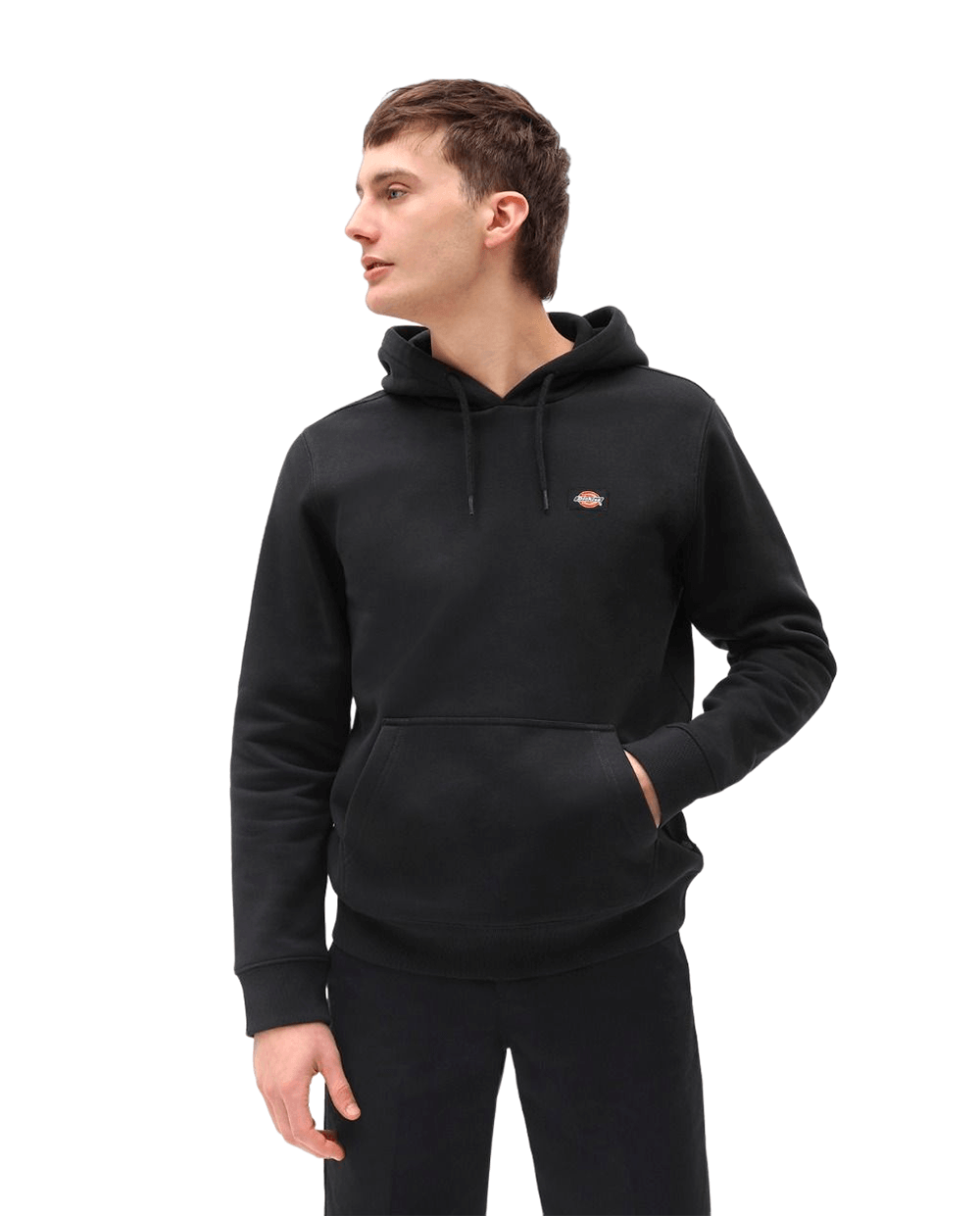 Dickies Hoodie Oakport Black with Logo