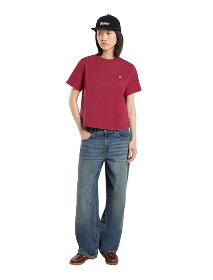 Calças Dickies Herndon