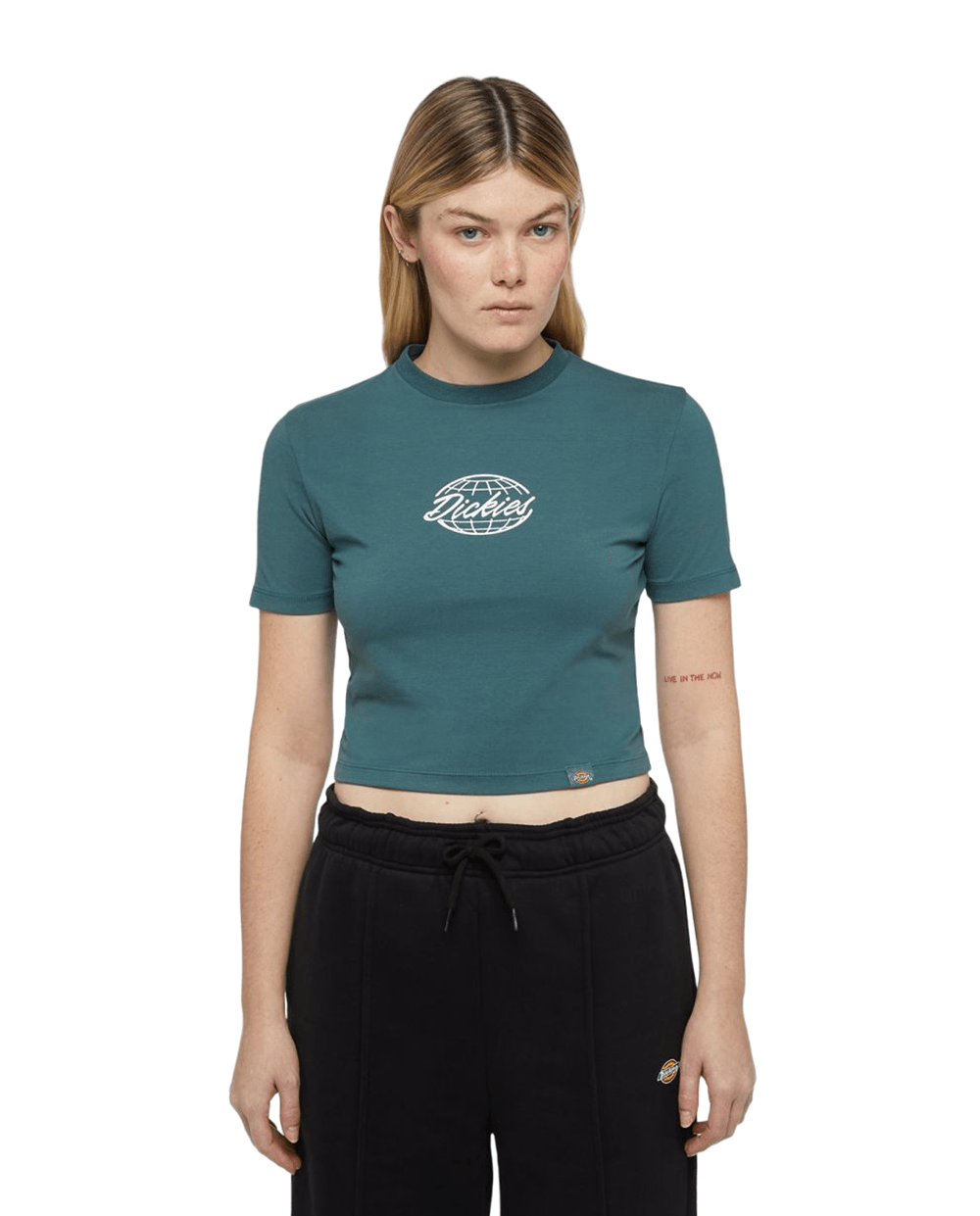 T-Shirt Dickies Globe