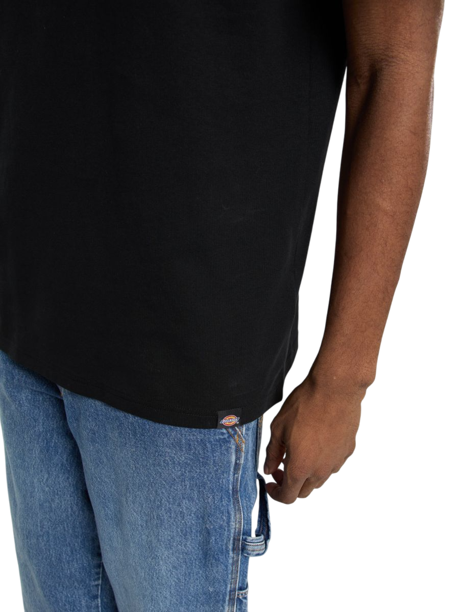 T-Shirt Dickies Laryville Mid Weight