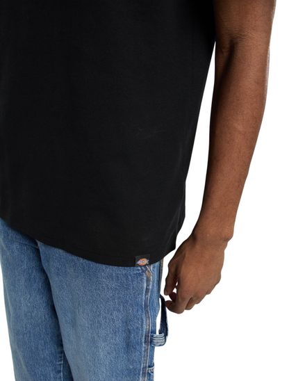 T-Shirt Dickies Laryville Mid Weight