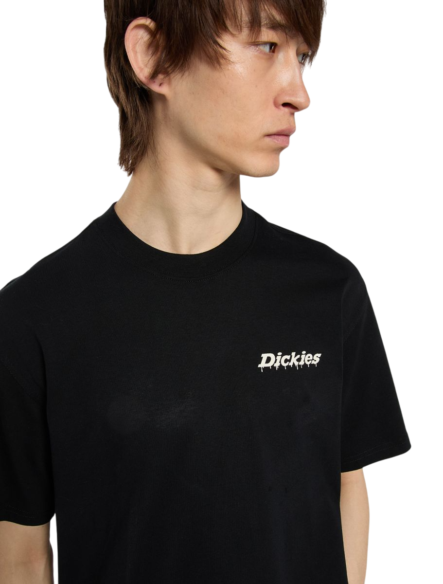 T-Shirt Dickies Statesville