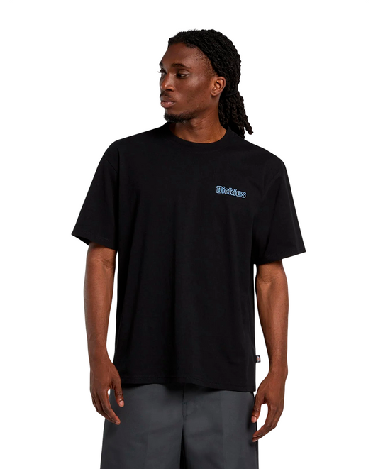 T-shirt Dickies Fairlawn