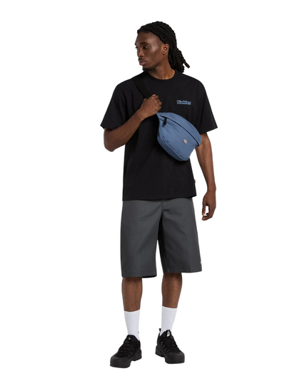 T-shirt Dickies Fairlawn