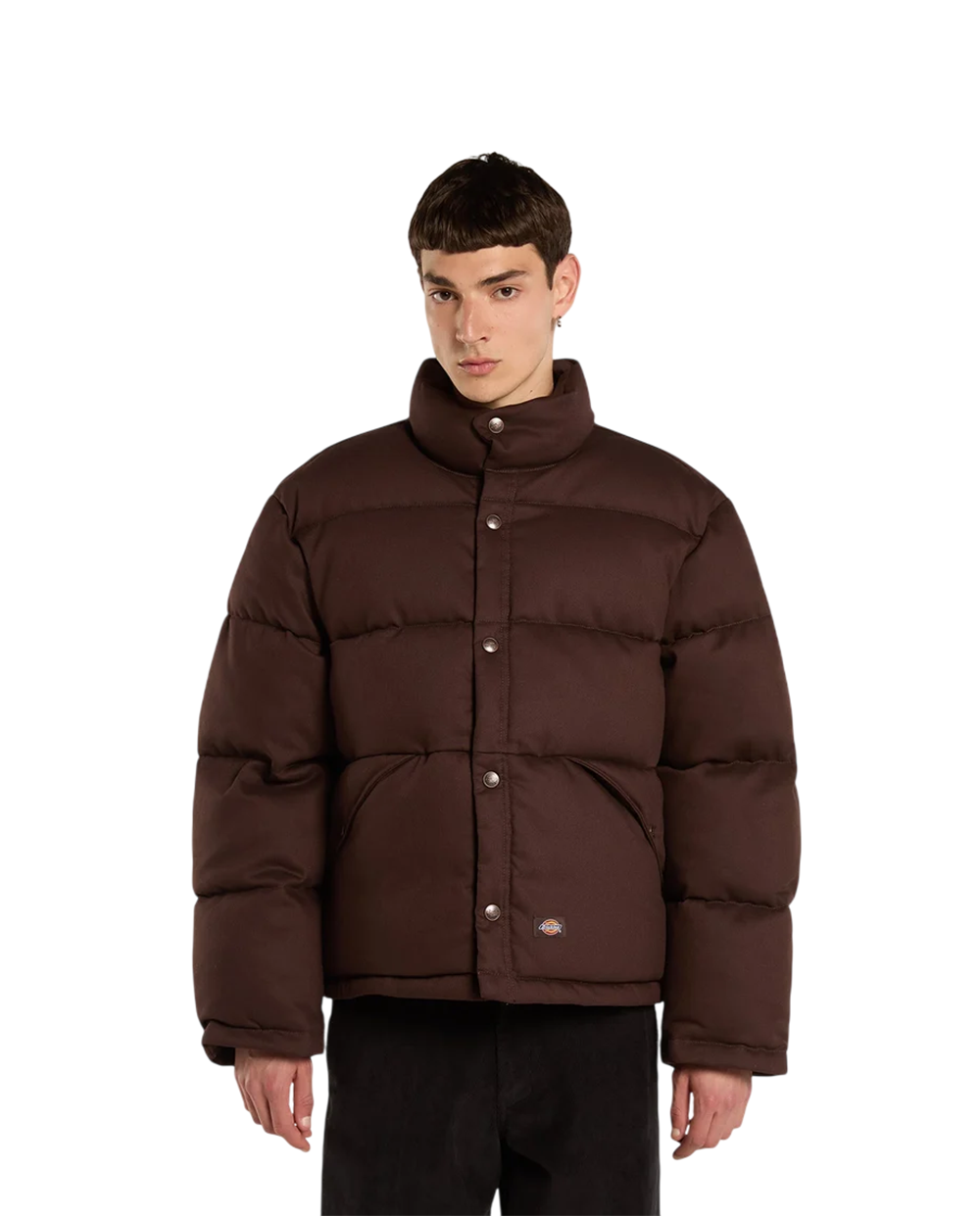 Casaco Puffer Dickies Osino