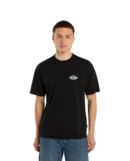 T-shirt Dickies Paradise Midweight