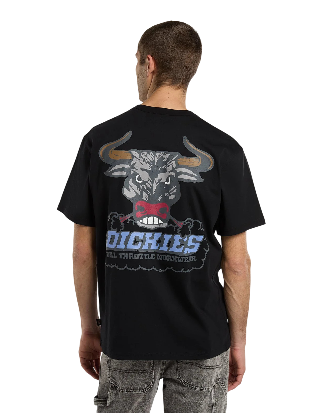 T-shirt Dickies Lakeridge
