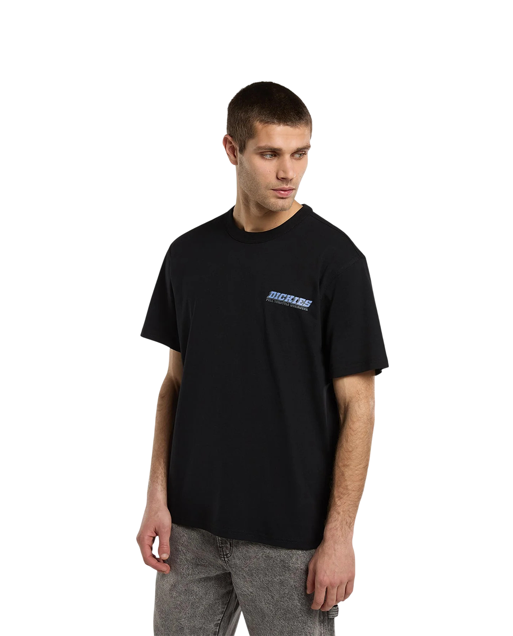 T-shirt Dickies Lakeridge