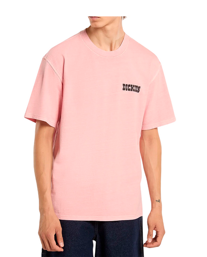 T-shirt Dickies Buchtell