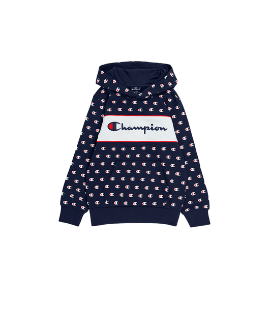 Hoodie Champion