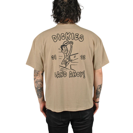 T-Shirt Dickies Decartuville