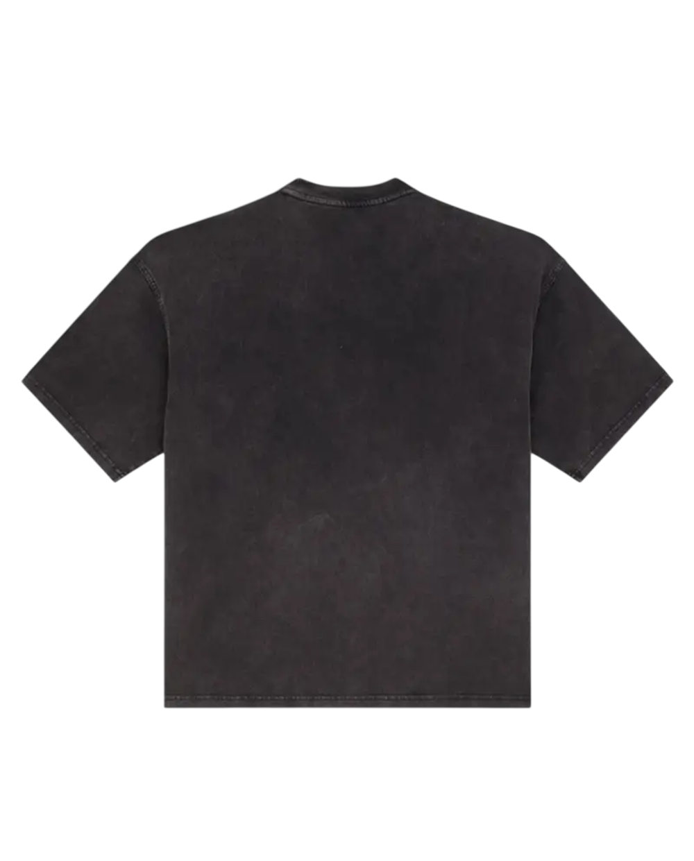 T-shirt Dickies Baker