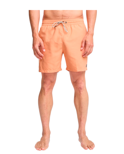 Calções BillaBong All Day 16"