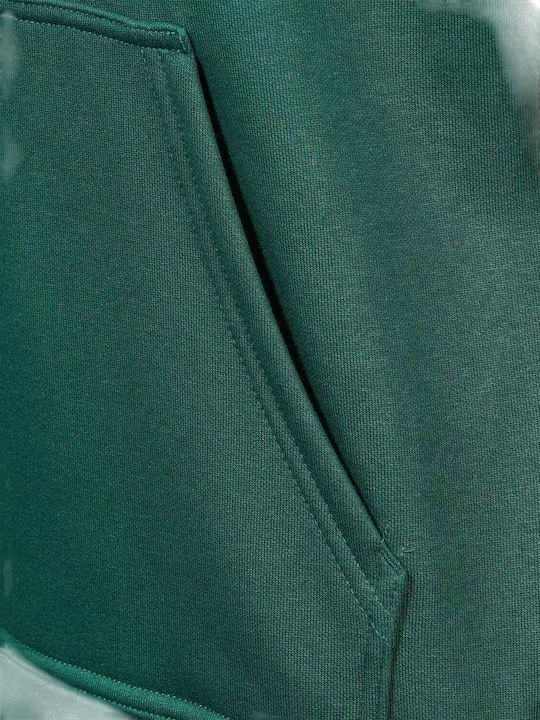 Hoodie Champion
