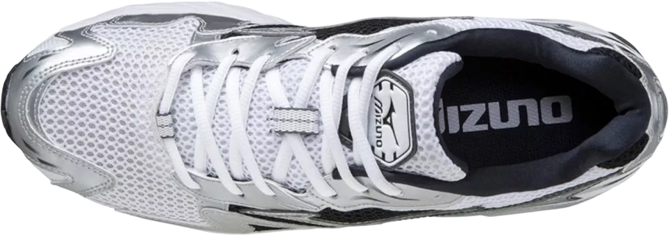 Sapatilha Mizuno Wave Rider 10