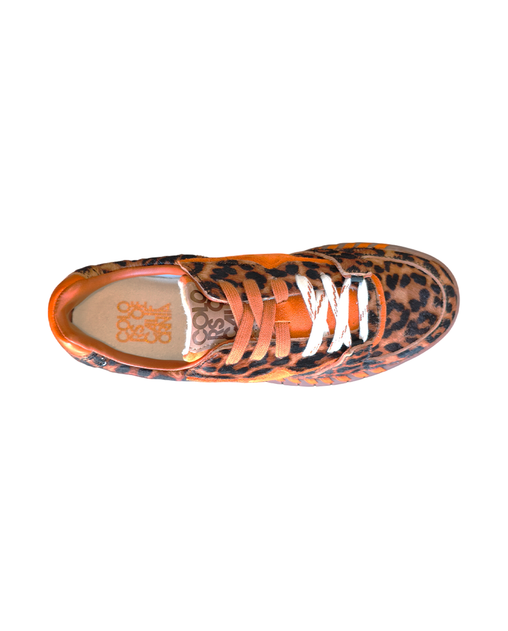 Sapatilha Colors of California Tahoe Leopardo